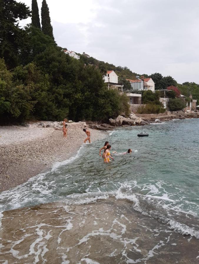 Appartement Oliva Lozica